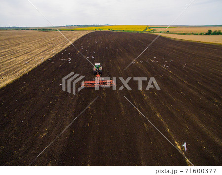 Harvesting in the field. Aerial view. Land cultivation with a tractor 71600377