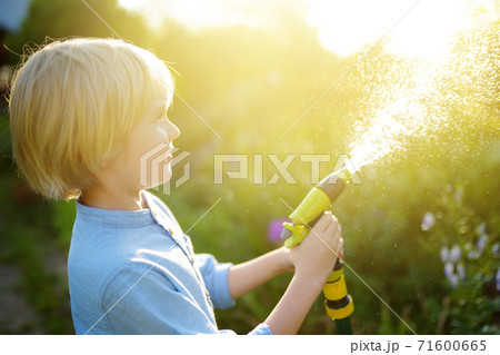 Funny little boy watering plants and playing with garden hose with sprinkler in sunny backyard.  71600665