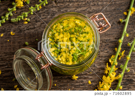 Preparation of herbal tincture from agrimony flowers 71602895