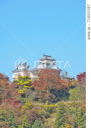 天空の城越前大野城 天空の城越前大野城 71603587