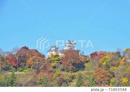 天空の城越前大野城 71603588