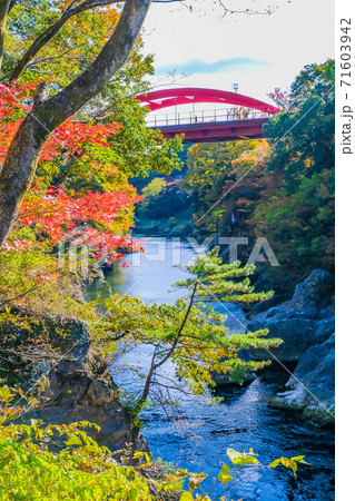 秋の高津戸峡と高津戸橋（縦） 71603942