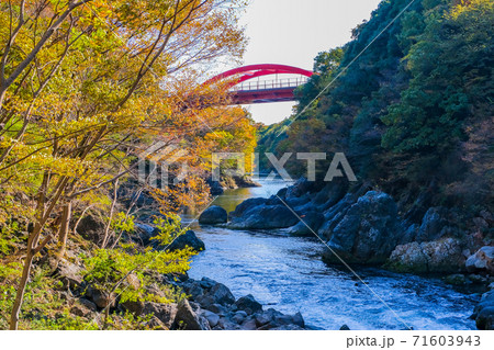 秋の高津戸峡と高津戸橋 秋の高津戸峡と高津戸橋 71603943