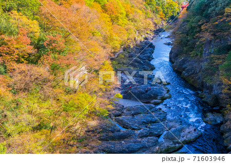 紅葉の高津戸峡 紅葉の高津戸峡 71603946