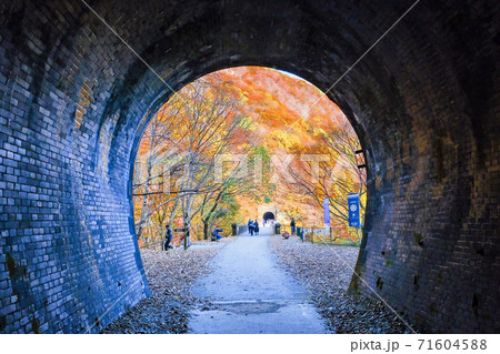 トンネルと紅葉 71604588