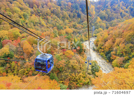ドラゴンドラからの苗場高原 秋 71604697