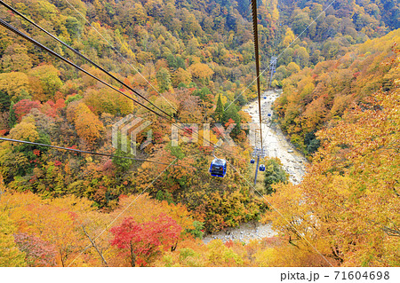 ドラゴンドラからの苗場高原 秋 ドラゴンドラからの苗場高原 秋 71604698
