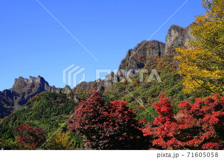 11月 富岡13妙義山紅葉・妙義山パノラマパーク 11月 富岡13妙義山紅葉・妙義山パノラマパーク 71605058