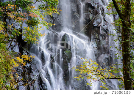 立又渓谷　一の滝 71606139