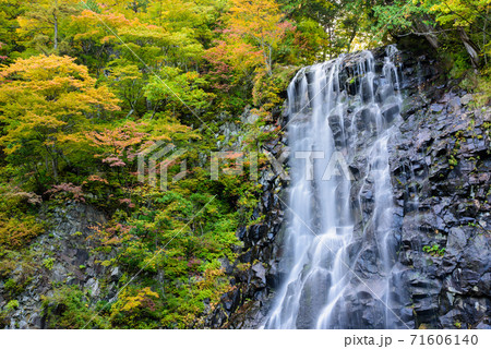 立又渓谷 一の滝 立又渓谷 一の滝 71606140