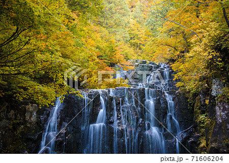 立又渓谷　二の滝 71606204