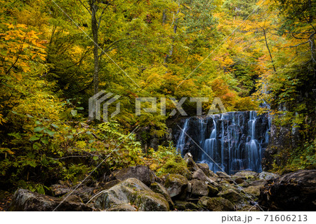 立又渓谷 二の滝 立又渓谷 二の滝 71606213