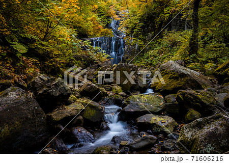 立又渓谷　二の滝 71606216