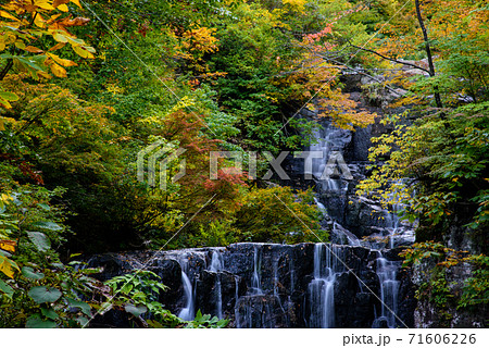 立又渓谷　二の滝 71606226