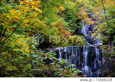 立又渓谷　二の滝 71606228