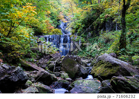 立又渓谷　二の滝 71606232