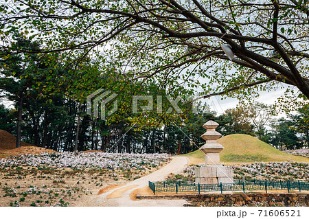 Seoak-dong Three-story Stone Pagoda and ancient royal tombs in Gyeongju, Korea Seoak-dong Three-story Stone Pagoda and ancient royal tombs in Gyeongju, Korea 71606521