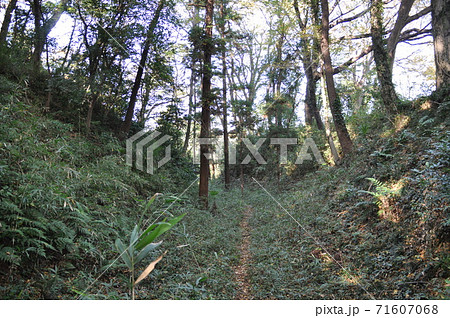 比企城館跡群 松山城跡 空堀(武蔵国) 比企城館跡群 松山城跡 空堀(武蔵国) 71607068