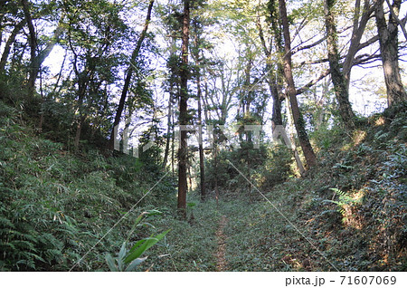 比企城館跡群 松山城跡 空堀（武蔵国） 71607069