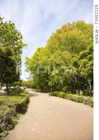 都立東村山中央公園 71607226