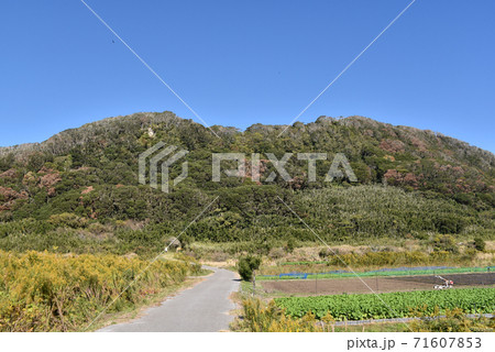 白浜城跡　全景 71607853