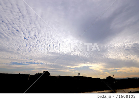 秋晴れとうろこ雲 71608105