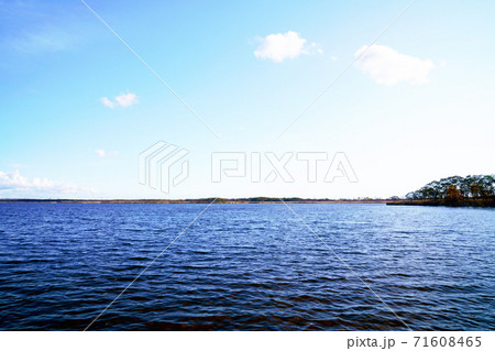 秋のウトナイ湖　北海道 71608465