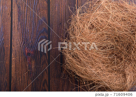 Empty bird nest 71609406