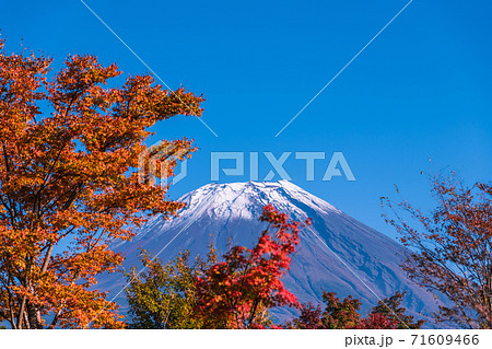 【道の駅朝霧高原からの富士山と紅葉】 71609466