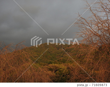 むら雲　三輪山 71609873