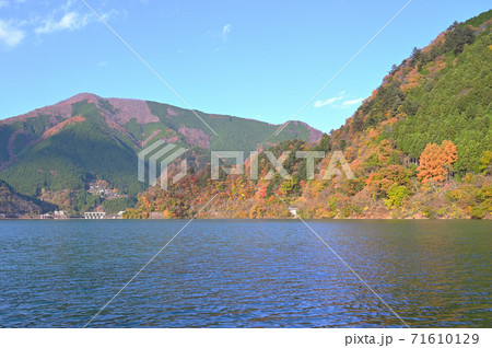 奥多摩_奥多摩湖の風景_秋 71610129
