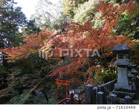 等彌神社　紅葉 71610469