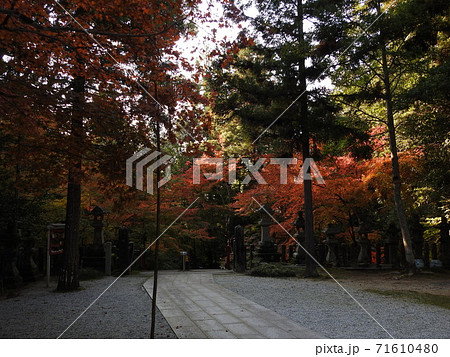 等彌神社　紅葉 71610480