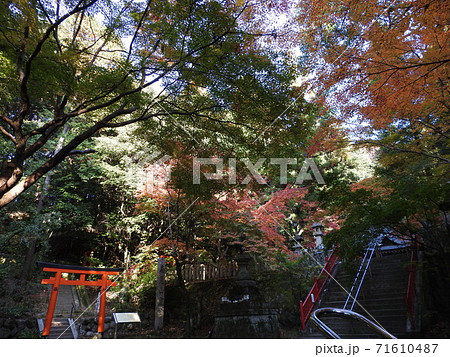 等彌神社　紅葉 71610487