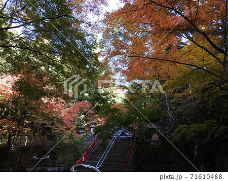 等彌神社　紅葉 71610488