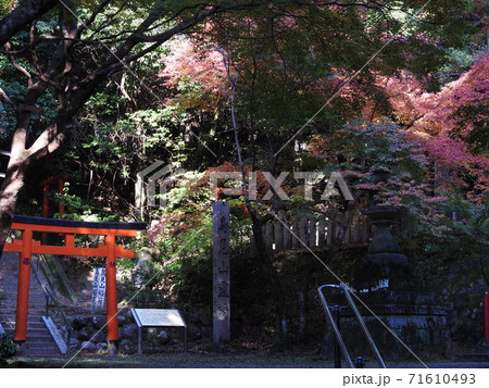 等彌神社　紅葉 71610493