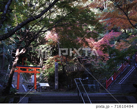 等彌神社 紅葉 等彌神社 紅葉 71610494