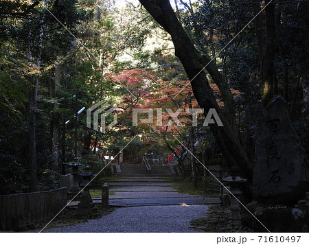 等彌神社 紅葉 等彌神社 紅葉 71610497