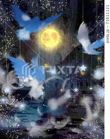 満月の周りを舞う青空のシルエットの三羽の鳩と夜空と星の背景画 満月の周りを舞う青空のシルエットの三羽の鳩と夜空と星の背景画 71611121