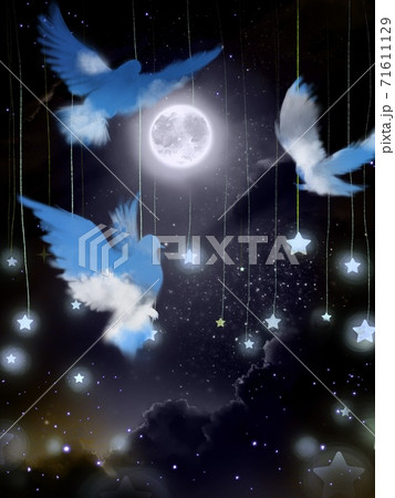 満月の周りを舞う青空のシルエットの三羽の鳩と夜空と星の背景画 満月の周りを舞う青空のシルエットの三羽の鳩と夜空と星の背景画 71611129