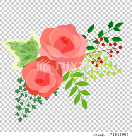 一小束玫瑰的插圖 白色背景 透明 插圖素材 圖庫