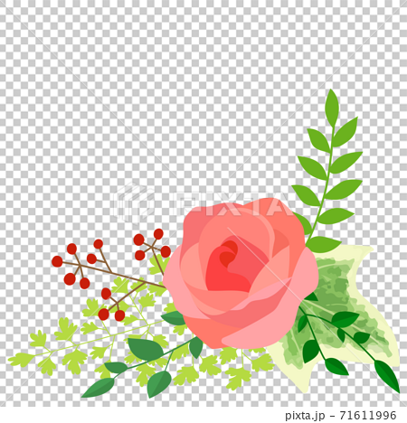 一小束玫瑰的插圖 白色背景 透明 插圖素材 圖庫