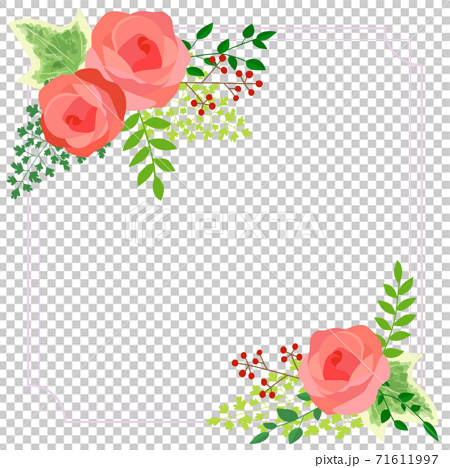 一小束玫瑰花的框架圖 白色背景 透明 插圖素材 圖庫