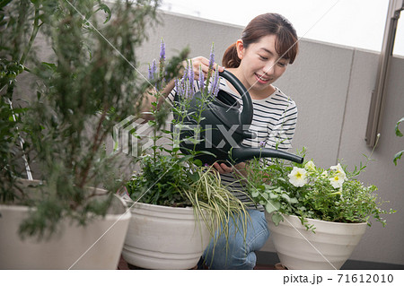 ベランダでガーデニング・寄せ植えを楽しむ女性 ベランダでガーデニング・寄せ植えを楽しむ女性 71612010
