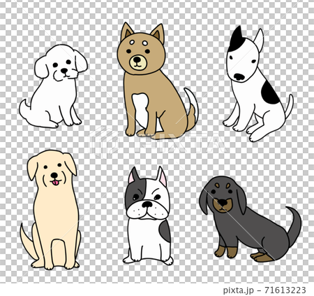 6種類の犬種の犬 71613223