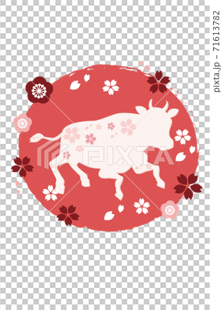 Cow illustration New Year's card material Ox Cow illustration New Year's card material Ox 71613782
