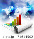 Business graph. 71614502