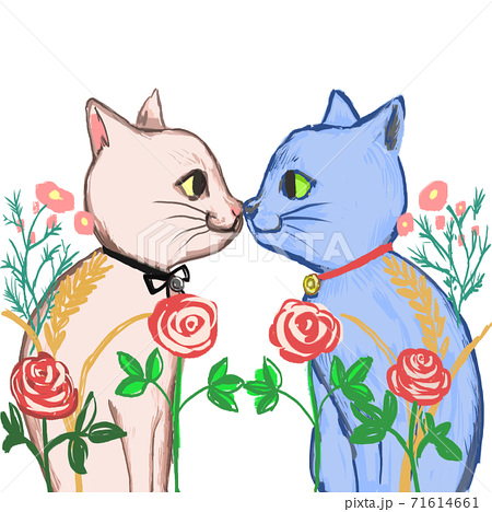 猫のキスのイラスト素材