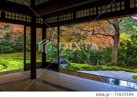 秋の瑠璃光院　紅葉　京都市左京区 71615599