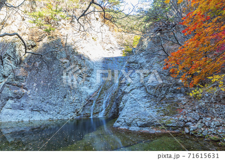 滝 紅葉 秋 71615631